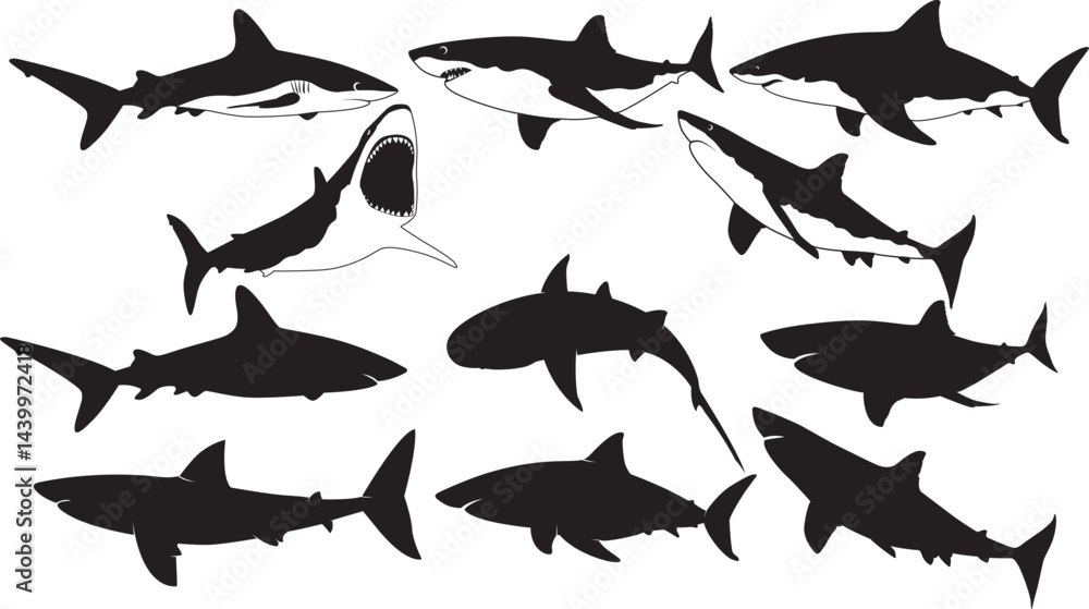 shark silhouette, white shark, shark clipart shark silhouette, white shark, shark clipart