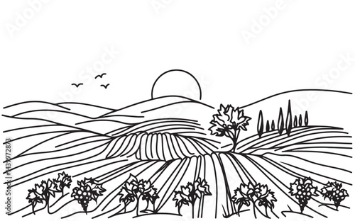 vine plantation hills, trees, clouds on the horizon vector illustration, sketch, silhouette