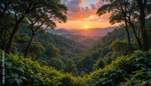 Serene Sunset Over Lush Green Forest Valley Surrounded by Majestic Mountains and Vibrant Foliage in Peaceful Nature Landscape