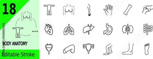 set of 18 outline icons related to body anatomy, breast, hand, fingers, bone, joint, heart, lungs, liver, stomach, kidneys, intestine, bladder, penis, uterus, legs, foot, feet