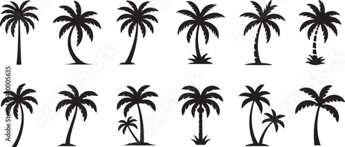 Palm tree icon set. Tropical palm trees in varying sizes Vector silhouette on a transparent background.