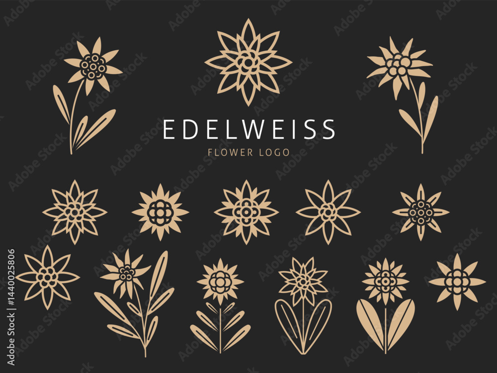 Beautiful edelweiss icons. Mountain flowers emblems, traveling and tourism symbol, wild nature plant, botanical simple floral logo, decorative botanical isolated elements, tidy vector set
