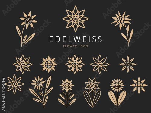 Obraz na płótnie Beautiful edelweiss icons. Mountain flowers emblems, traveling and tourism symbol, wild nature plant, botanical simple floral logo, decorative botanical isolated elements, tidy vector set w salonie