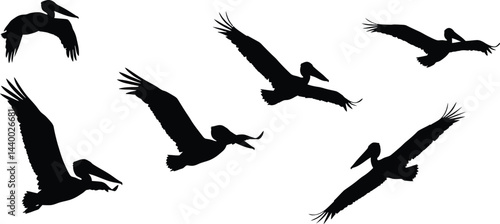 A vector set of black bird silhouettes in flight captures the freedom of wild animals with outstretched wings transparent AI Generative