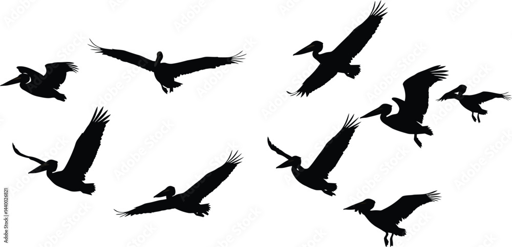 Vector silhouettes of flying birds illustrate wild freedom in nature's sky transparent AI Generative Vector silhouettes of flying birds illustrate wild freedom in nature's sky transparent AI Generative