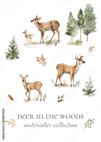 watercolor collection deer in the woods handdrawn
