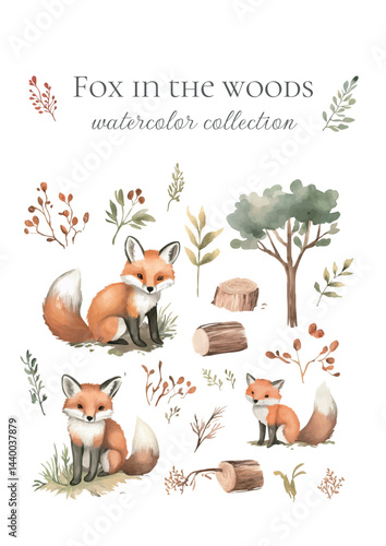 watercolor collection of fox in the woods handdrawn