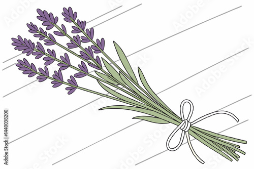 Bunch Of Fresh Lavender Tied With Twine Rustic Floral