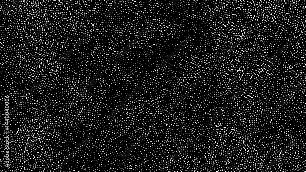 Fototapeta premium white, black glitter texture abstract banner background, Black and orange vintage film light leaks overlay background. Static tv noise, bad tv signal, black and white, monochrome