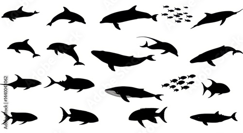 Various Sea Animal Silhouettes Including Sharks, Fish, and Whales on White Background