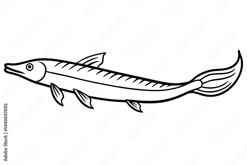 Fototapeta premium Elegant Oarfish Line Art