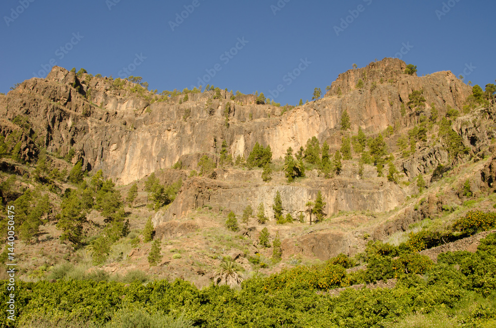 Cliff in the Arguineguin ravine. Mogan. Gran Canaria. Canary Islands. Spain. Cliff in the Arguineguin ravine. Mogan. Gran Canaria. Canary Islands. Spain.