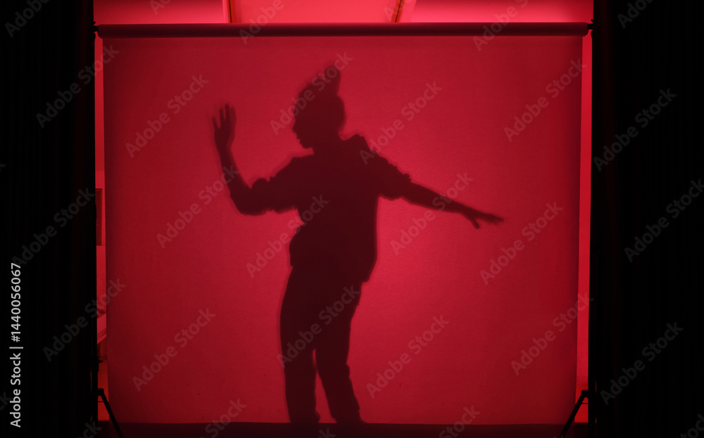 silhouette of a woman