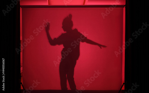 Obraz na płótnie silhouette of a woman w salonie