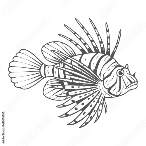 Volitans Lionfish Line Art Illustration