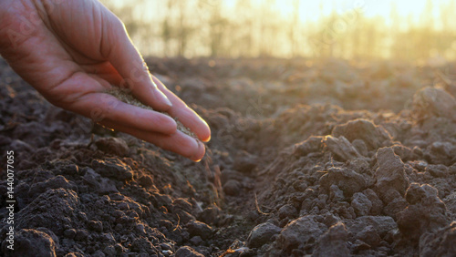 Cuadro en lienzo A hand gently scatters seeds into the rich earth as the sun sets in a tranquil f
