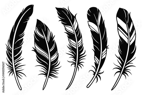 Collection of five black and white feather vector illustrations