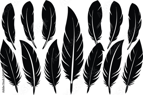 Graphic black feathers composition artistic design vector illustration decoration bohemian symbol