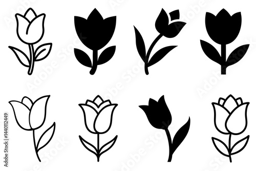 Tulip Flower Vector Image