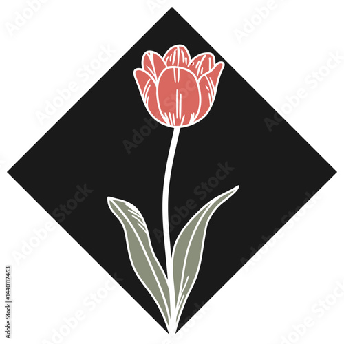 Tulip Flower Vector Image