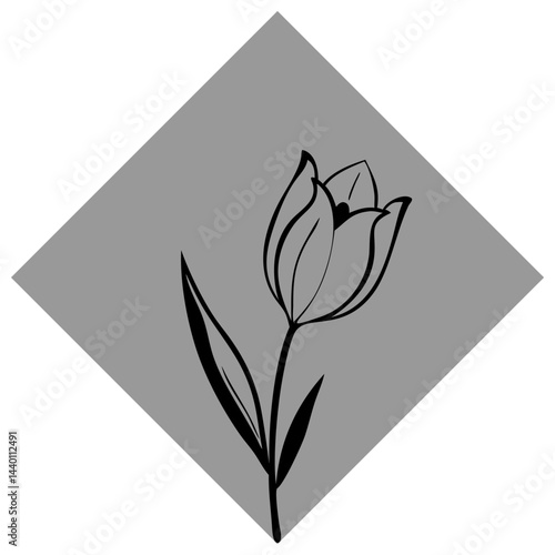 Tulip Flower Vector Image