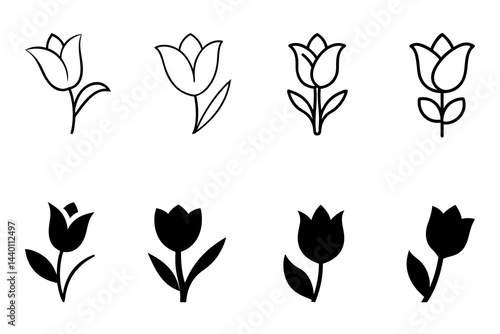 Tulip Flower Vector Image