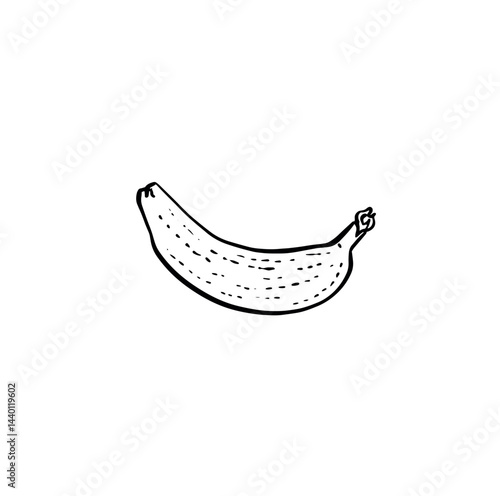 Banana hand drawn in black and white. Line drawn fruit. 