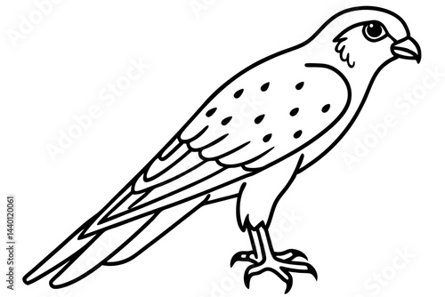 Flying Kestrel Vector