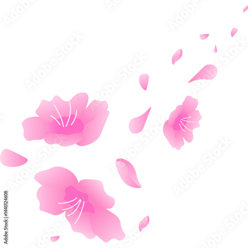 Cherry Blossom Petals