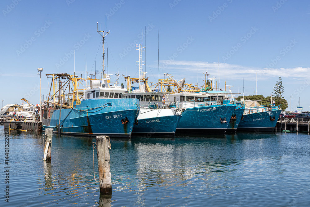 Commercial fishing boats in Fremantle Fishing Boat Harbour in Fremantle 6160 (Walyalup) , Western Australia, WA, Australia