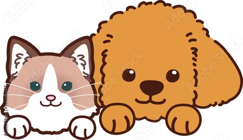 Simple and adorable illustration of Ragdoll and Toy Poodle
