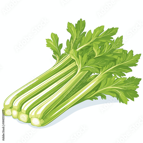 Vector illustration of celery sticks stems isolated on a white background