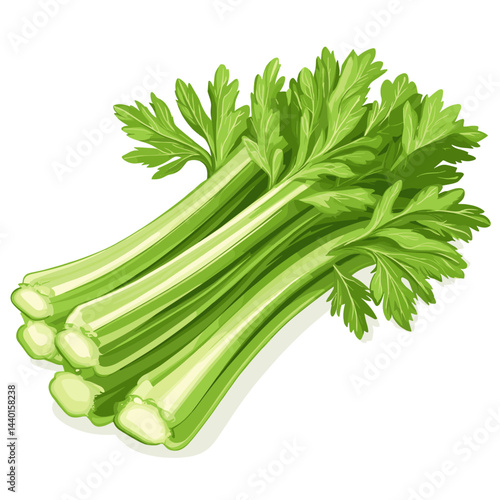 Vector illustration of celery sticks stems isolated on a white background