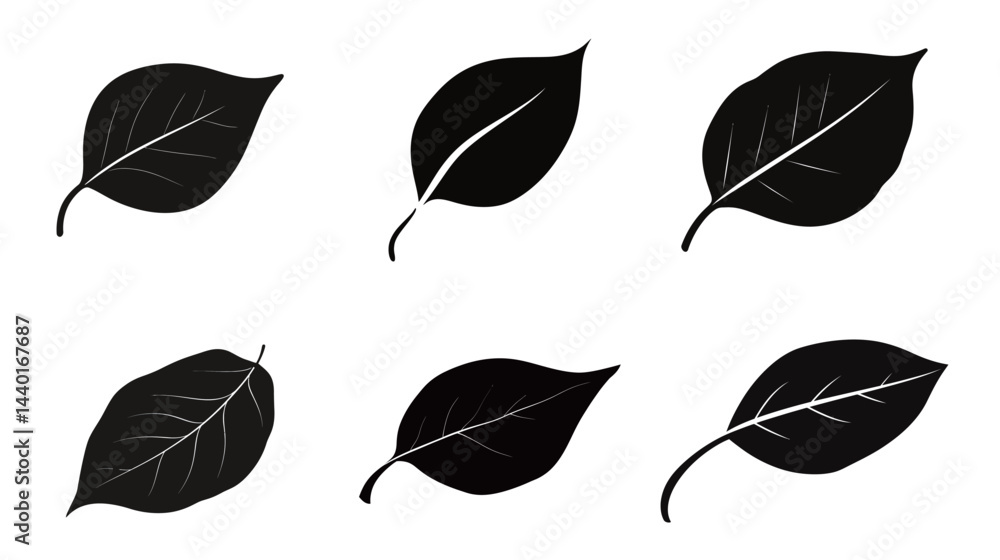 Fototapeta premium A Simple Black Silhouette of a Single Leaf Vector Graphic