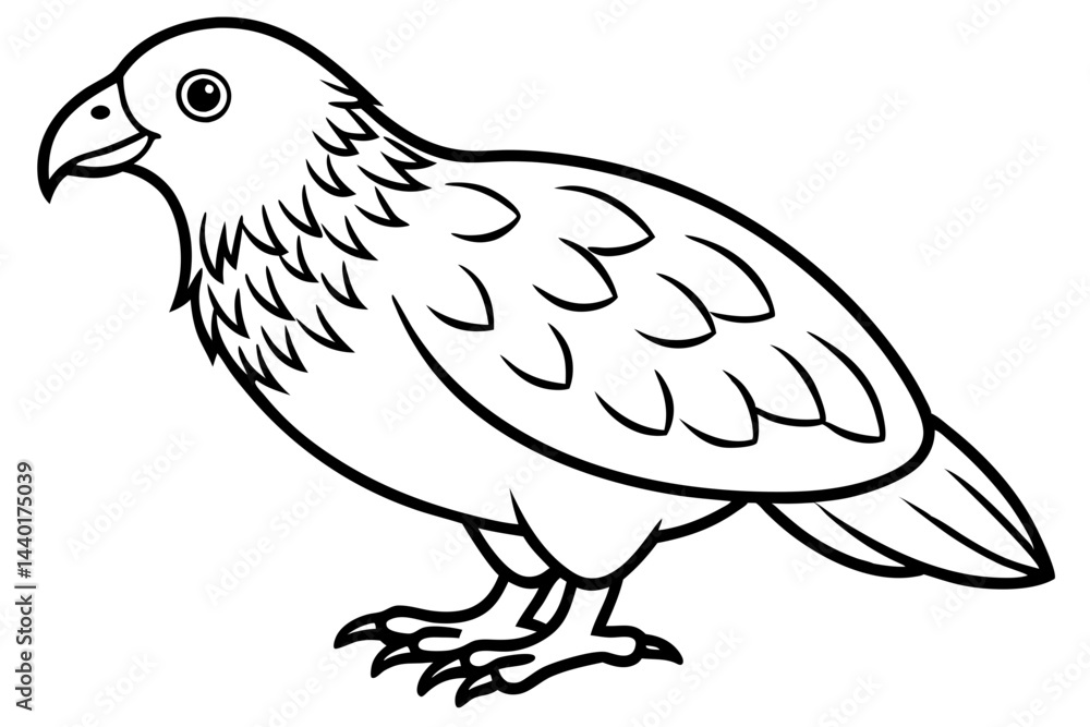 Fototapeta premium Kestrel Minimalist Line Art