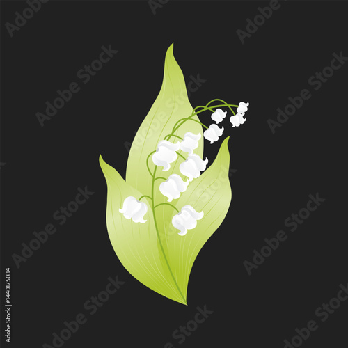 Lily of the valley flower on a black background. A white spring flower. Vector illustration.