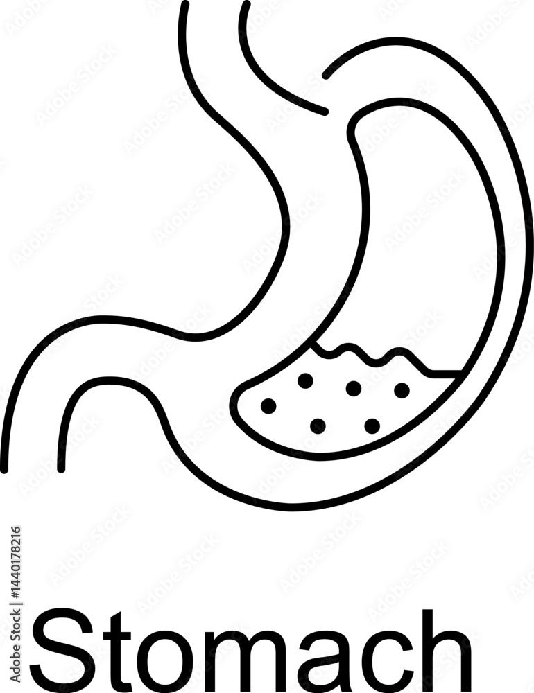 Obraz premium Stomach Icon. Vector Design