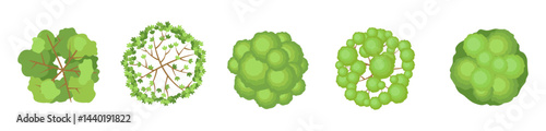Tree crowns set