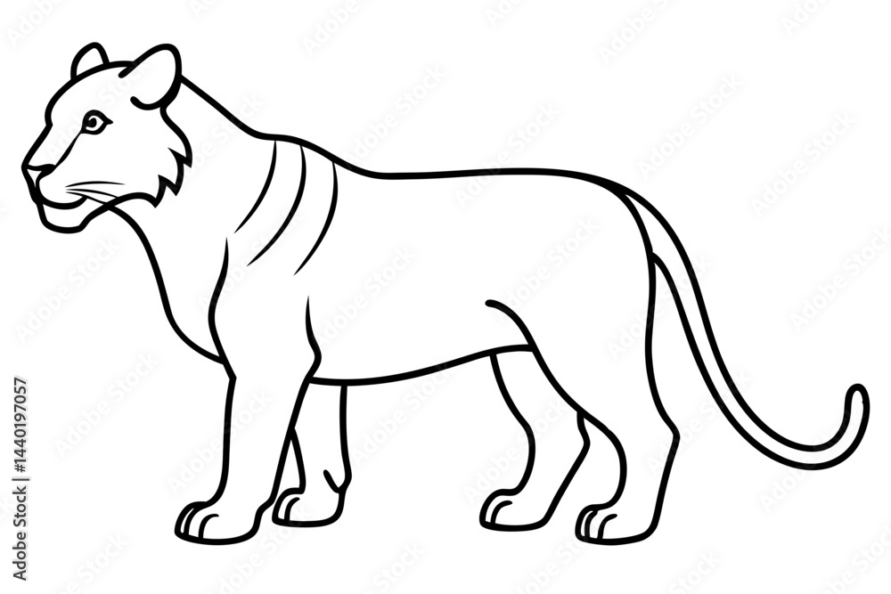 Obraz premium Liger Ink Line Vector