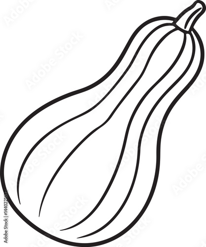 butternut squash vegetable line art, black outline, vector and illustration, coloring book page line art drawing