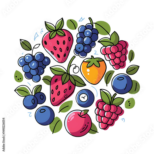Set of berries vector illustrator
