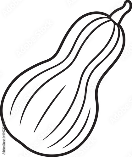 butternut squash vegetable line art, black outline, vector and illustration, coloring book page line art drawing