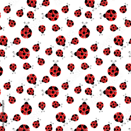 ladybug vector illustration
