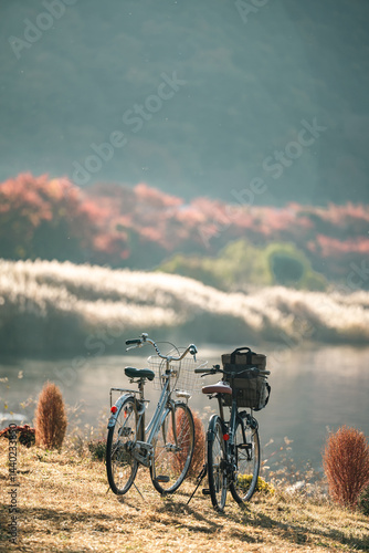 Traveling in Japan, Woman T...
