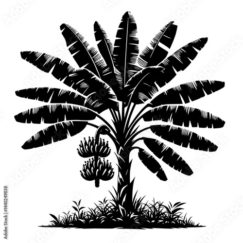 palm tree silhouette