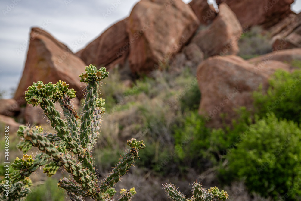 red rocks, colorado