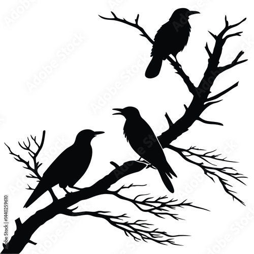 Black silhouette of three birds perched on bare tree branches