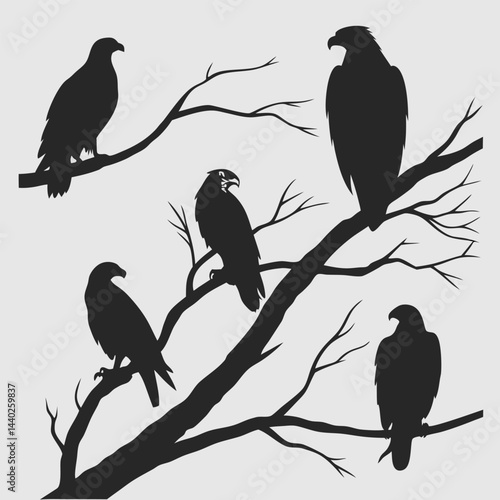 Eagle silhouettes perched on tree branches wildlife vector graphic design