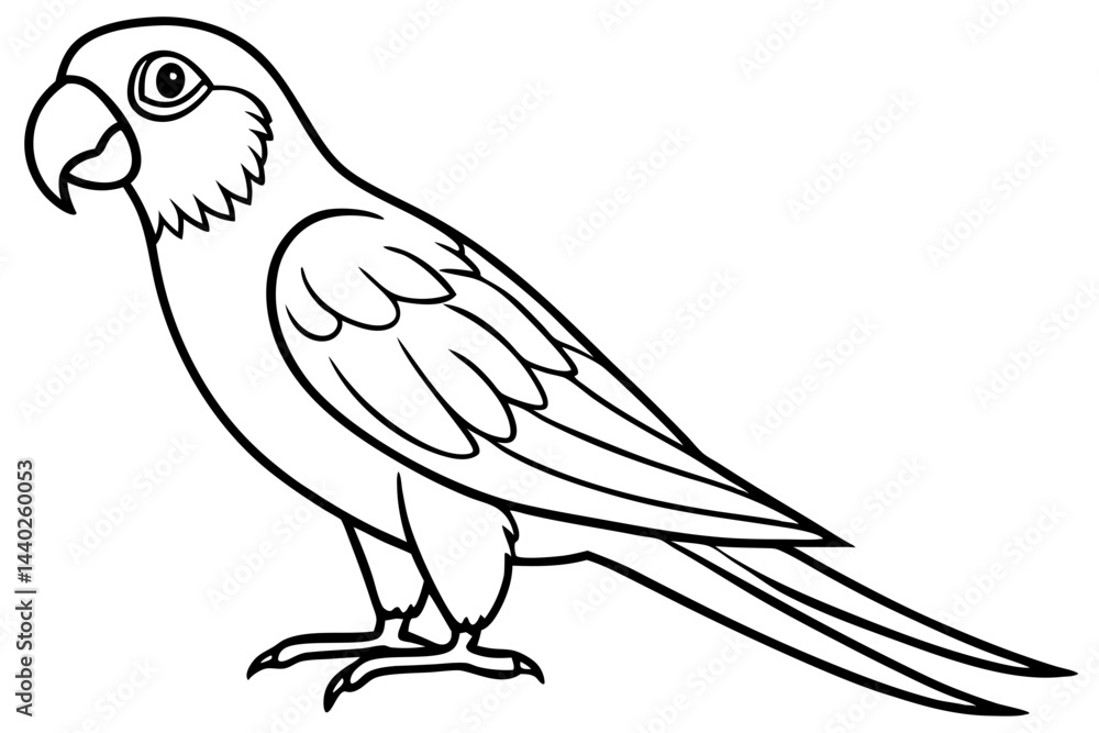 Fototapeta premium Minimalist Macaw Sketch