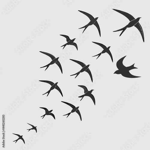 Elegant swallows flock in flight simple vector design for backgrounds and graphics